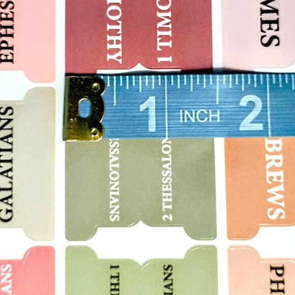 Laminated Bible Tabs ~ Large Print ~ Modern Earth-Tone Colors ~ Placement Guide - Picture 12 of 13